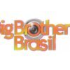 Big Brother Brasil - Logotipo