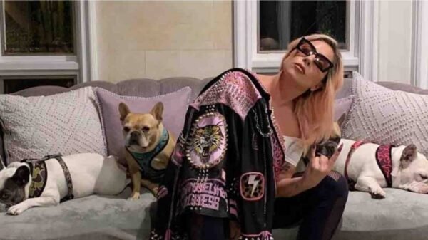 Lady Gaga e seus cachorros
