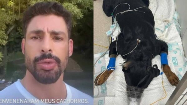 Cachorro de Cauã Reymond morre envenenado