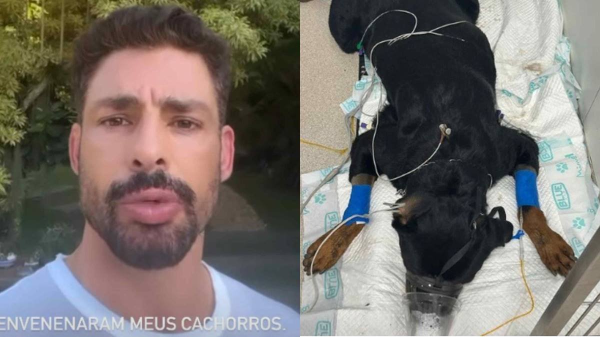 Cachorro de Cauã Reymond morre envenenado