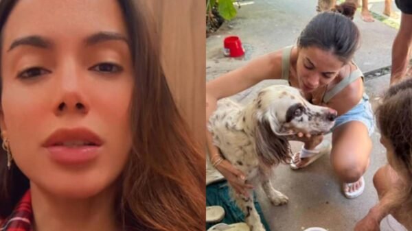 Anitta reencontra cachorro Charlie que desapareceu no Natal